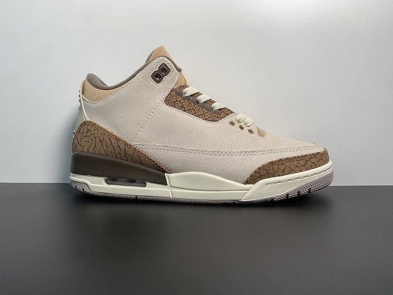 Air Jordan 3 "Palamino" CT8532-102
