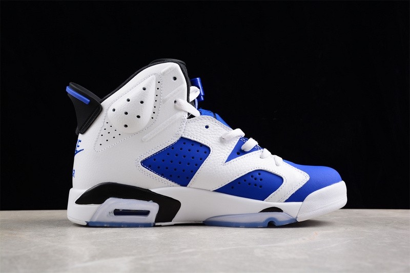Air Jordan 6 Sneaker