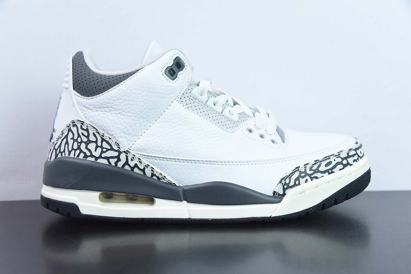 Air Jordan 3 GS Hide N' Sneak DX6665-100