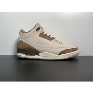 Air Jordan 3 "Palamino" CT8532-102